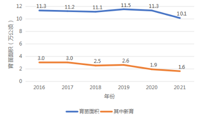 图片16