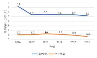 图片28